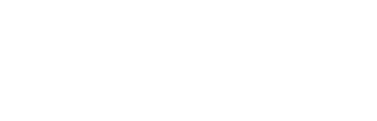 logo consultora san miguel